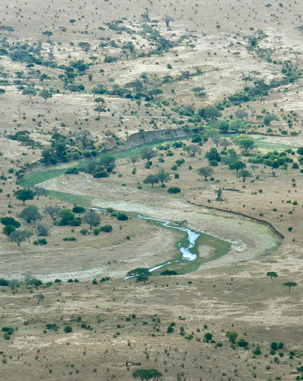 Tarangire National Park